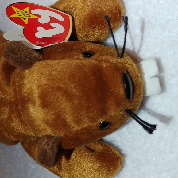 TY " Bucky " Beaver Beanie Baby - Rare w/ tag errors and P.V.C. pellets Retired - Picture 5 of 10